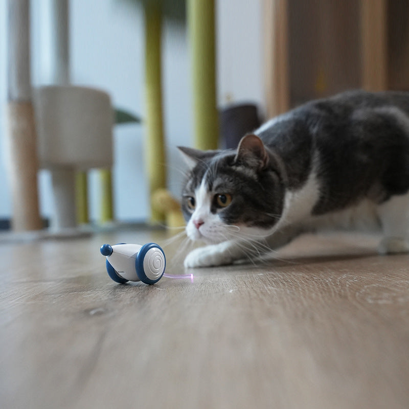 Electric Mouse Cat Toy