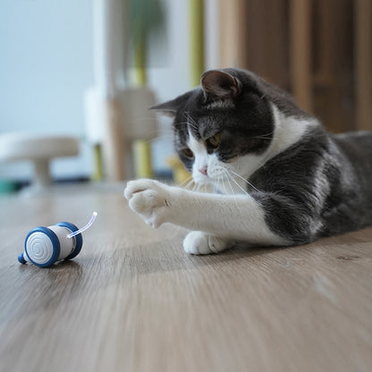 Electric Mouse Cat Toy